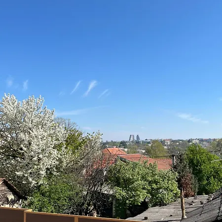 Magnolia *